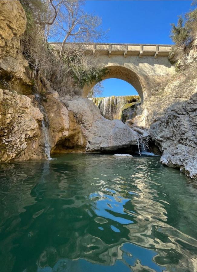 Sous Les Etoiles En Provence, Gite Les Bambous Lurs Bagian luar foto